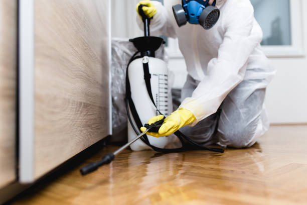 Best Residential Pest Control  in Lake Of The Woods, VA