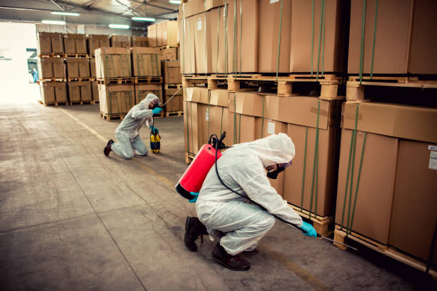 Wasp Removal Services in Lake Of The Woods, VA