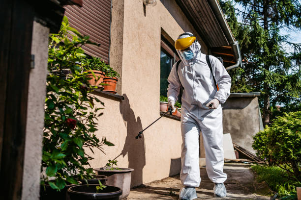 Best Best Pest Control Companies  in Lake Of The Woods, VA