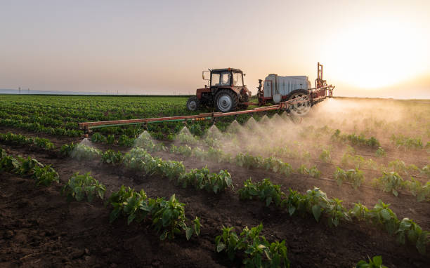 Best Commercial Pest Control Services  in Lake Of The Woods, VA