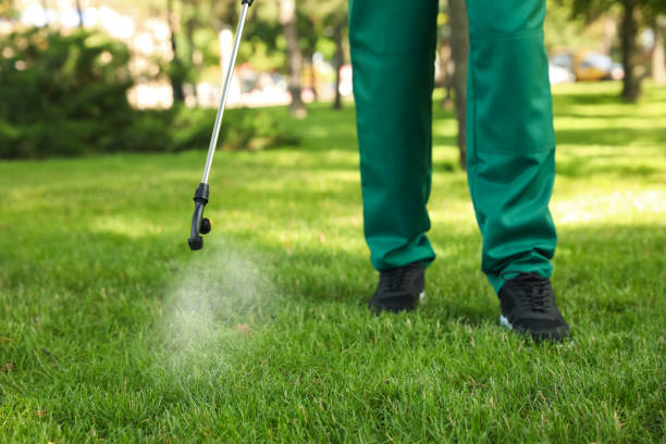 Best Flea Control Services  in Lake Of The Woods, VA