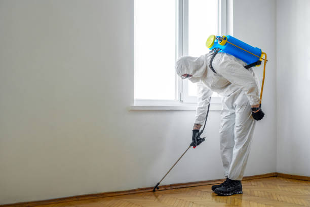 Best Pest Inspection Near Me  in Lake Of The Woods, VA
