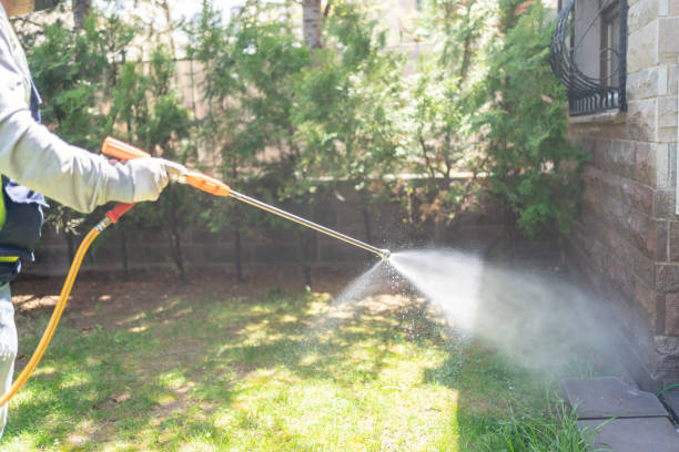 Insect Control in Lake Of The Woods, VA