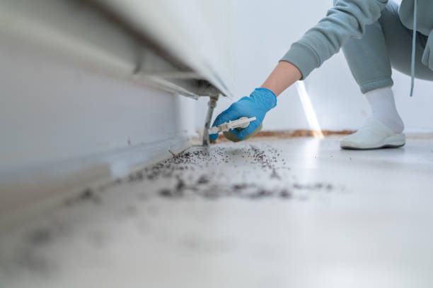 Pest Prevention Services in Lake Of The Woods, VA